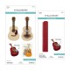SPELLBINDERS MAJESTIC GUITAR BOX CREATOR Etched Dies