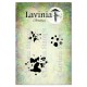 Lavinia Stamps PAINT SPATTERS