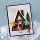 SPELLBINDERS STREAMLINE 3D EMBOSSING FOLDER FROM THE SKI-SON'S GREETINGS COLLECTION BY SIMON HURLEY
