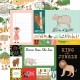 ECHO PARK PAPER ANIMAL KINGDOM PAPER PACK 30X30CM