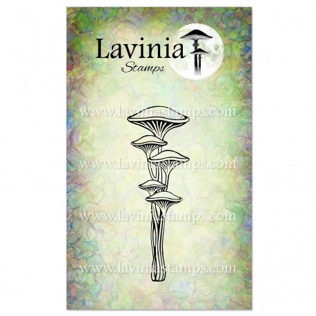 LAVINIA STAMPS RUNECAP