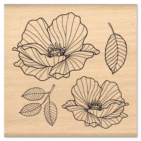 FLORILEGES DESIGN TAMPON BOIS COQUELICOTS " MURMURES"