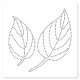 FLORILEGES DESIGN POCHOIR DE PIERCING FEUILLES SIMPLE GINKGO