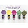 Lindy's Stamp Gang KATIE PERTIET'S GARDEN CHRONICLES MAGICAL SHAKER 2.0 SET