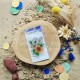 CHOU & FLOWERS TAMPONS CLEAR FLEURS EXOTIQUES "Le Chant des Dunes"