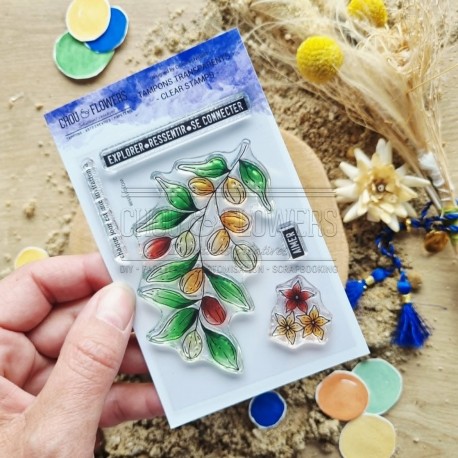 CHOU & FLOWERS TAMPONS CLEAR L'ARGANIER "Le Chant des Dunes"