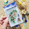 CHOU & FLOWERS TAMPONS CLEAR L'ARGANIER "Le Chant des Dunes"