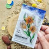 CHOU & FLOWERS TAMPONS CLEAR FLEUR DE SAFRAN "Le Chant des Dunes"