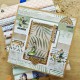 CHOU & FLOWERS TAMPONS CLEAR DL TEXTURE AVENTURE "Le Chant des Dunes"