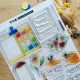 CHOU & FLOWERS TAMPONS CLEAR A4 ECHAPPEES BELLE "Le Chant des Dunes"