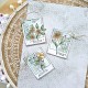 CHOU & FLOWERS TAMPONS CLEAR A4 ECHAPPEES BELLE "Le Chant des Dunes"
