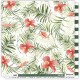 LES ATELIERS DE KARINE "PURA VIDA" COLLECTION PACK + CALQUE