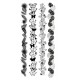 LES ATELIERS DE KARINE "BORDURES EXOTIQUES" Tampon Clear PURA VIDA