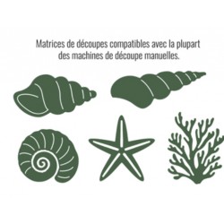 LES ATELIERS DE KARINE "COQUILLAGES" DIES PURA VIDA