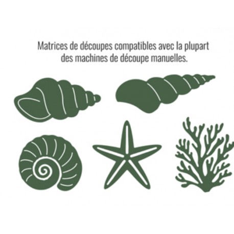LES ATELIERS DE KARINE "COQUILLAGES" DIES PURA VIDA