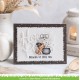 LAWN FAWN CLEAR STAMPS - HOCUS PURR-CUS!