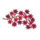 SPELLBINDERS ALEX SYBERIA - AUTUMN IN KYOTO BUNDLE