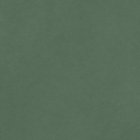 AMERICAN CRAFTS CARDSTOCK 30,5 X 30,5 SMOOTH PINE