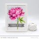 MFT PEONY PERFECTION CLEAR STAMPS