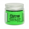 DISTRESS EMBOSSING GLAZE CRACKED PISTACCHIO