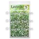 Lavinia Stencils - LEAF TRAILS